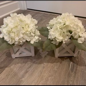 Two fake plants